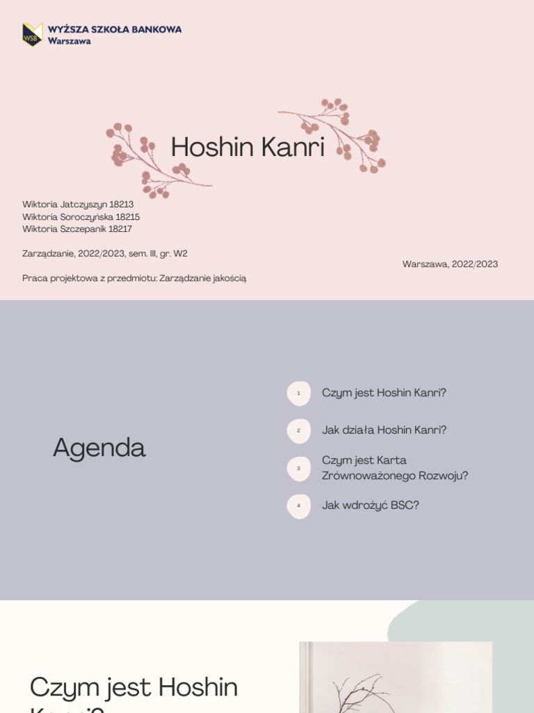 Hoshin Kanri | PDF