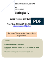 Aula - 8 - Sistemas Tegumentar, Muscular, Esquelético (BioIV)