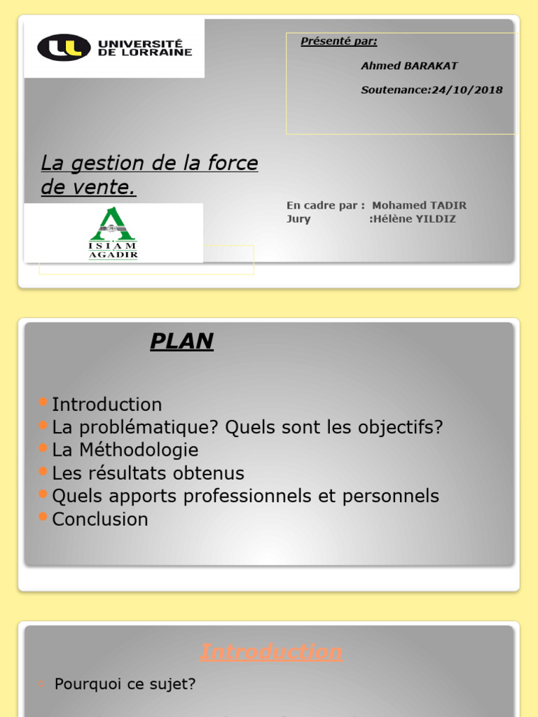 Gestion de la force de vente : étude DISLOGROUP | PDF | Sodles ...
