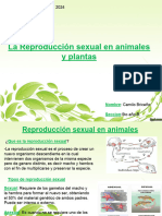 La Reproduccion Sexual en Animales y Plantas-Camilo Briceño