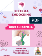 Sistema Endocrino