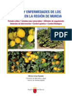 Plagas_y_enfermedades_de_los_cítricos_en_la_Región_de_Murcia_(1)