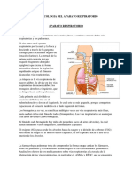 Farmacologia Del Aparato Respiratorio