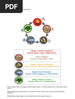 Download A Biotipologia Alimentar by Ly Antunes SN70555755 doc pdf