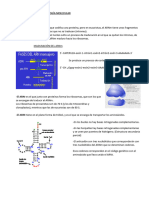 DOGMA CENTRAL DE LA BIOLOGÍA MOLECULAR Teoría