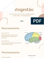 Auto Gest Ão