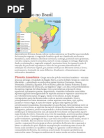 Vegetação no Brasil