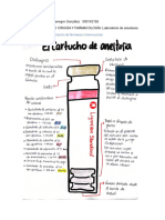 Laboratorio de Anestesia - Alejandra Montenegro