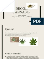 Droga Cannabis