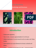 Bacterial Classification As To Characteristics