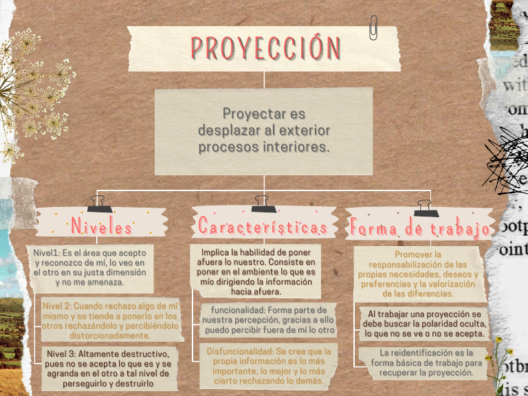 Rechazo y Proyección Personal | PDF