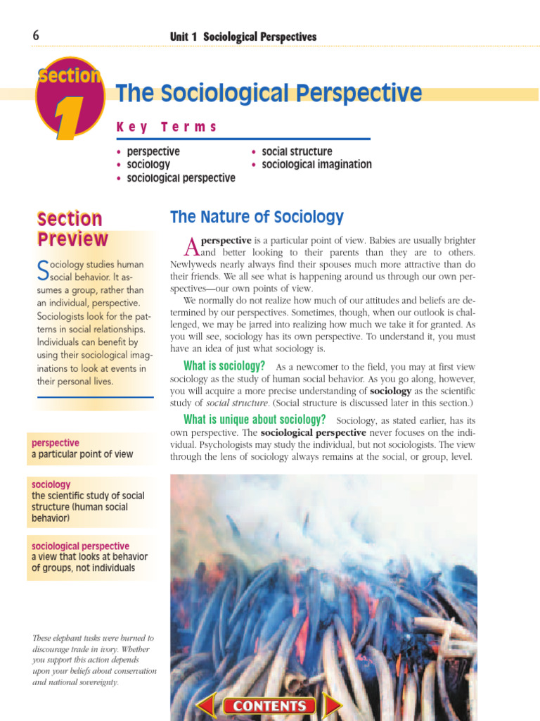 Sociology Chapter 1 Section+1 | PDF | Sociology | Social Sciences