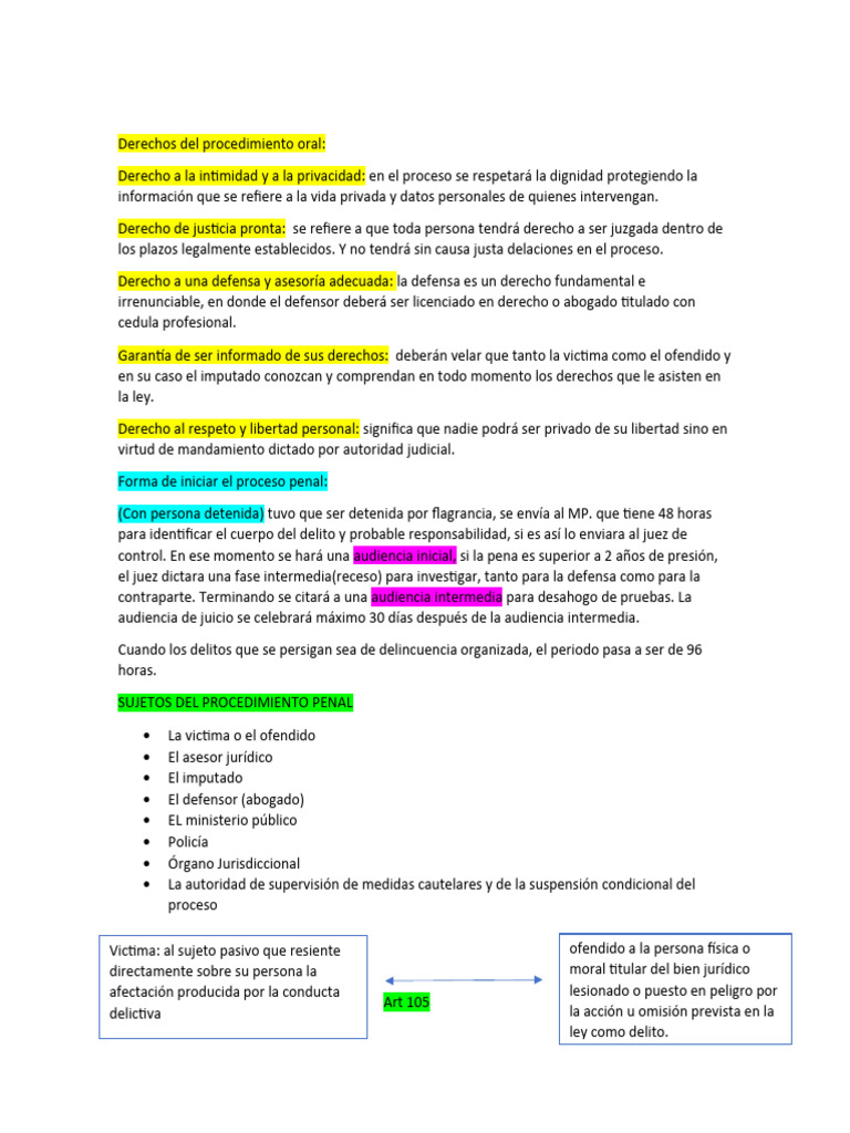Etapas Del Proceso Penal | PDF | Procedimiento Criminal | Principios éticos