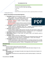 The Dermaphocytes