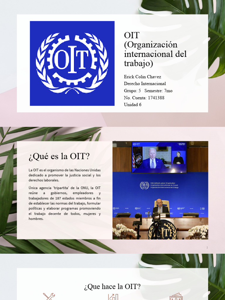 Funciones y objetivos de la OIT | PDF | Organización Internacional del ...