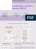 Derechos Económicos, Sociales y Culturales (DESC) - D. INTERNACIONAL