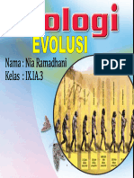 Makalah Evolusi