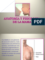 Anatomía y fisiología de la mama: lactancia materna y cuidados