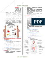 Histología Sistema Endocrino