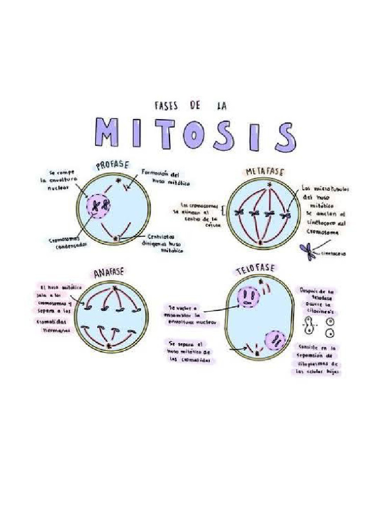 Installation & Delivery Area visual data 6