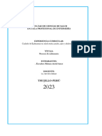 Estructura Proceso Enfermero