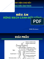 BS Bui Phu Quang - Sieu Am Dong Mach Canh, Dot Song