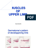 Muscles of Upper Limb 1