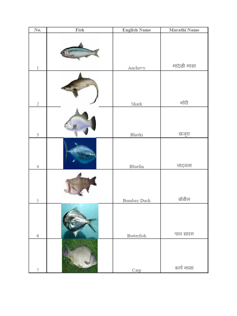 Fish Names in Marathi PDF Fishing Industry Aquatic Animals