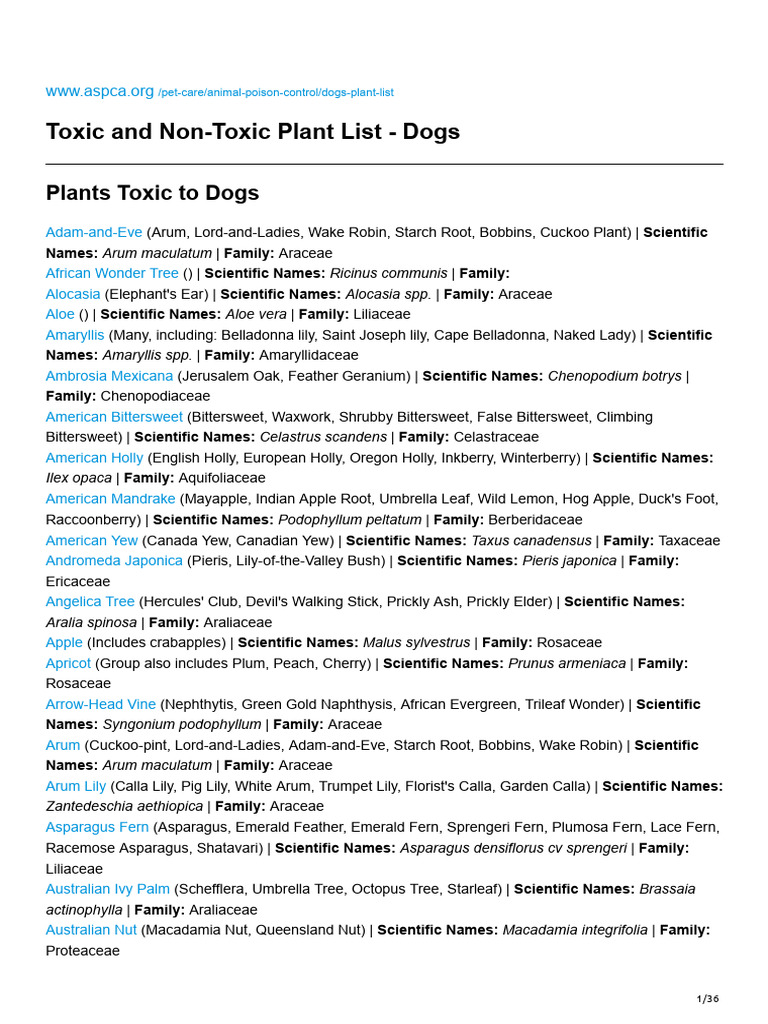 toxic-and-non-toxic-plant-list-dogs-pdf-cannabis-medicinal-plants