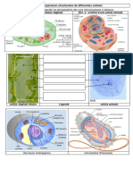 Ch3 TD6 StructureComparaison ArbreVivant