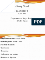 04 Salivary Gland