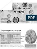 Tema 3 Metabolismo Neuronal