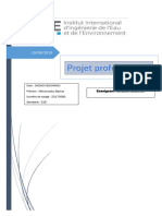 Projet Professionnel SADAOU BACHAROU