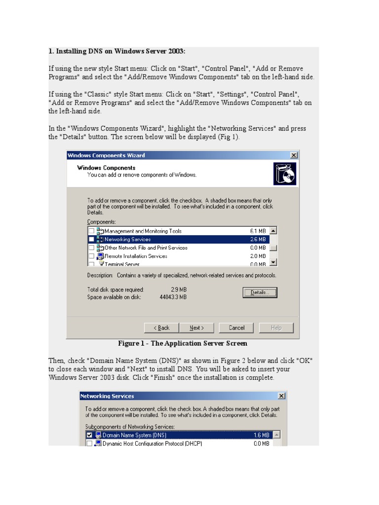 DNS Setup on Windows Server 2003 | PDF