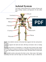 Parts of The Skeletal System