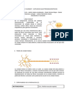 Práctica de Electromiografía y Neuroconducción | PDF | Electromiografia ...