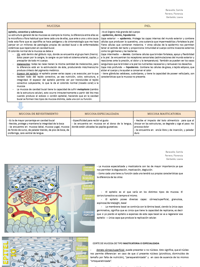 Boca Normal. Piel y Mucosas. Cuadro | PDF | Epitelio | Piel