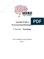 Neuro - Apostila Prática P2 Word