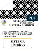 Sistema Límbico - Aprofundamento