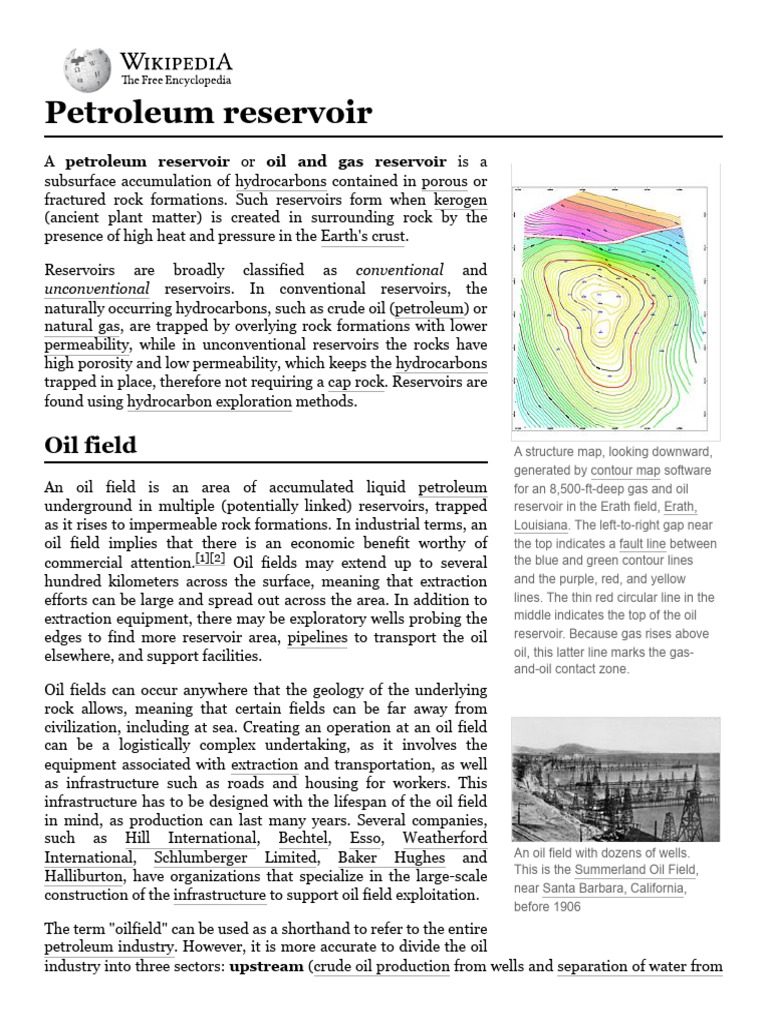 Petroleum Reservoir | PDF