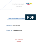 Rapport de Stage Jouini Tasnime