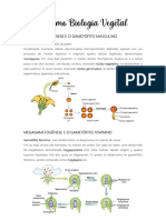 Resumo Biologia Vegetal