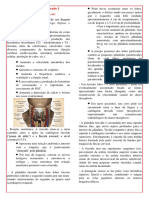 Problema 3 - Fechamento 1: Descrever A Anatomia Da Tireoide