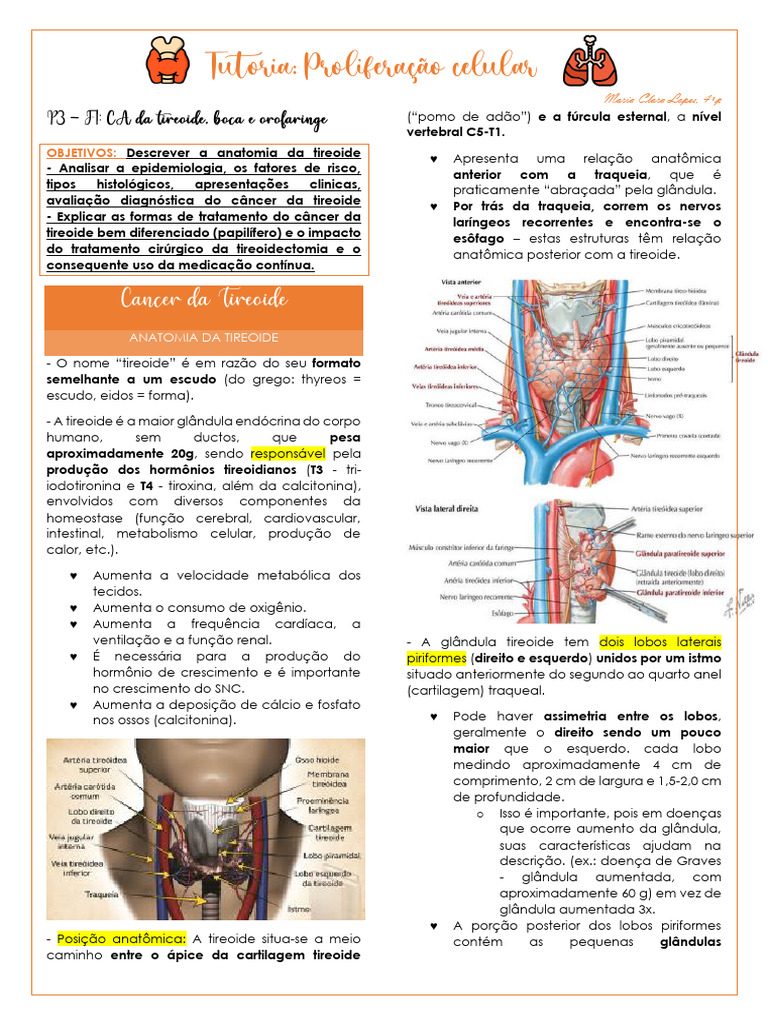 Anatomia e Câncer da Tireoide: Guia Completo | PDF | Tireoide | Órgão ( anatomia), image size:768x1024