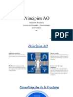 Principios AO