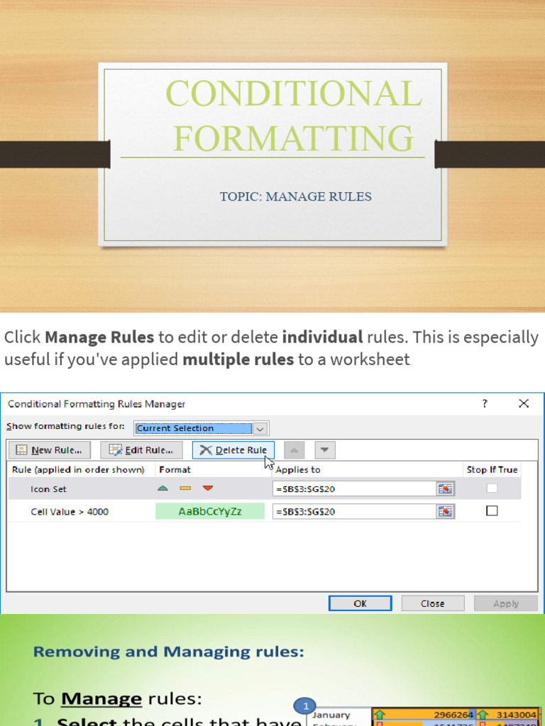 Manage Conditional Formatting Rules | PDF