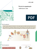 Aula 002 Niveis de Organizacao