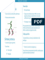 Replicação Do DNA