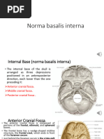 Norma Basalis Interna