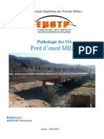 Phatologie Pont Oued MILA